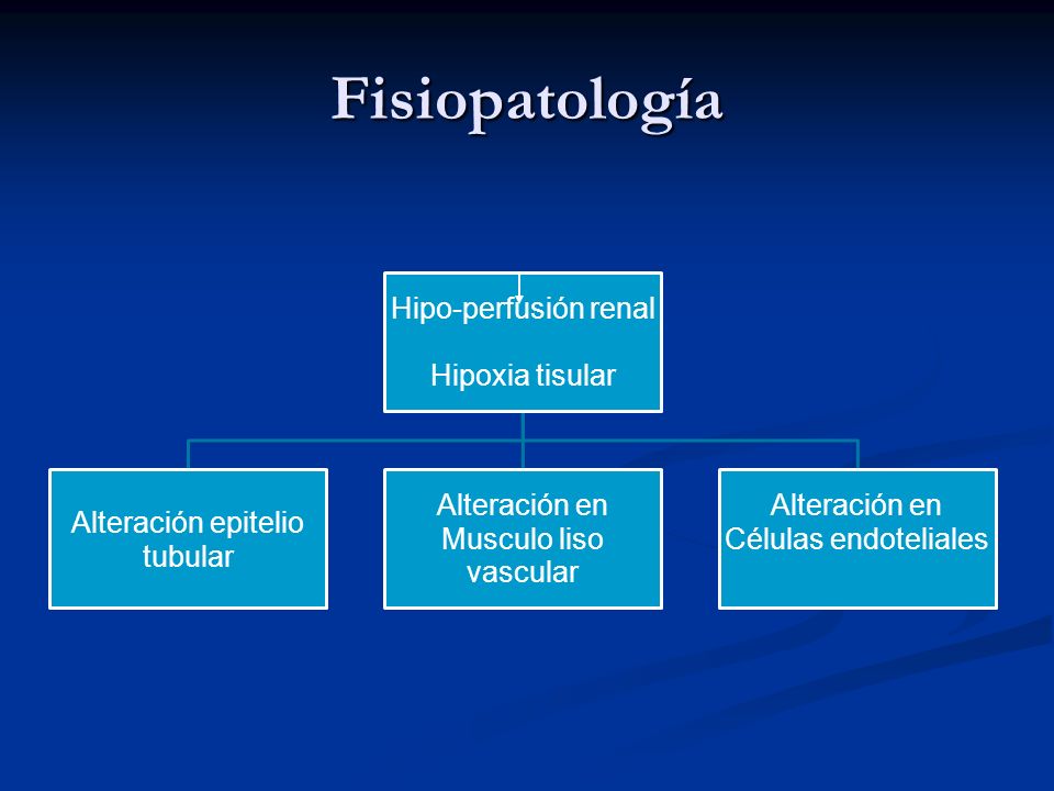 FISIOPATOLOGIA RENAL fisiopatologia renal: