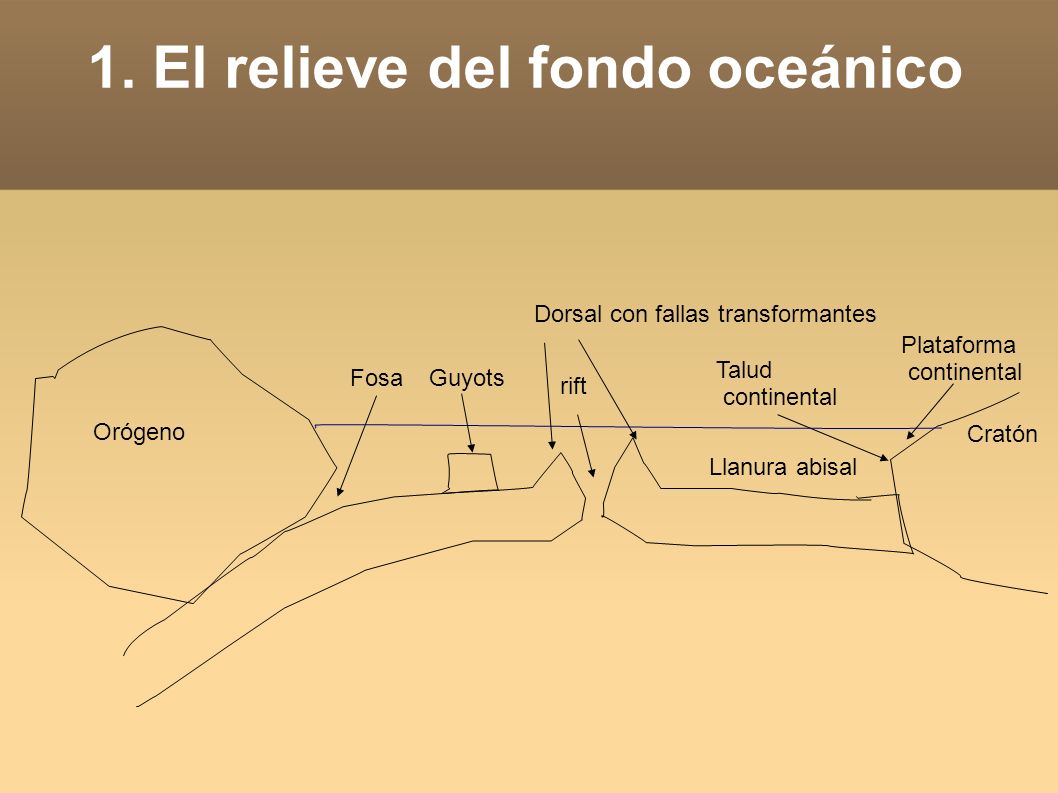 Resultado de imagen de relieve del fondo oceánico