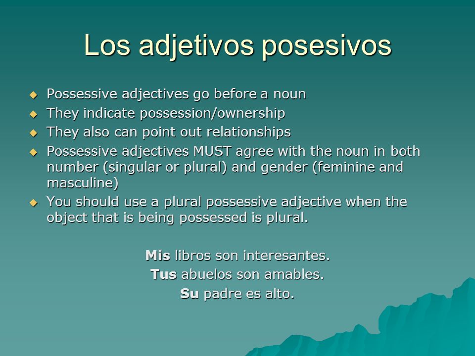 Los adjetivos posesivos Possessive adjectives go before a noun Possessive adjectives go before a noun They indicate possession/ownership They indicate possession/ownership They also can point out relationships They also can point out relationships Possessive adjectives MUST agree with the noun in both number (singular or plural) and gender (feminine and masculine) Possessive adjectives MUST agree with the noun in both number (singular or plural) and gender (feminine and masculine) You should use a plural possessive adjective when the object that is being possessed is plural.