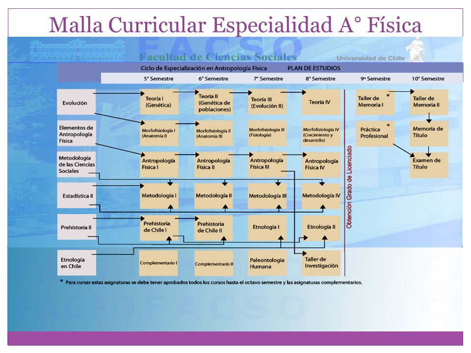 Resultado de imagen para Malla antropologia uchile en ingles