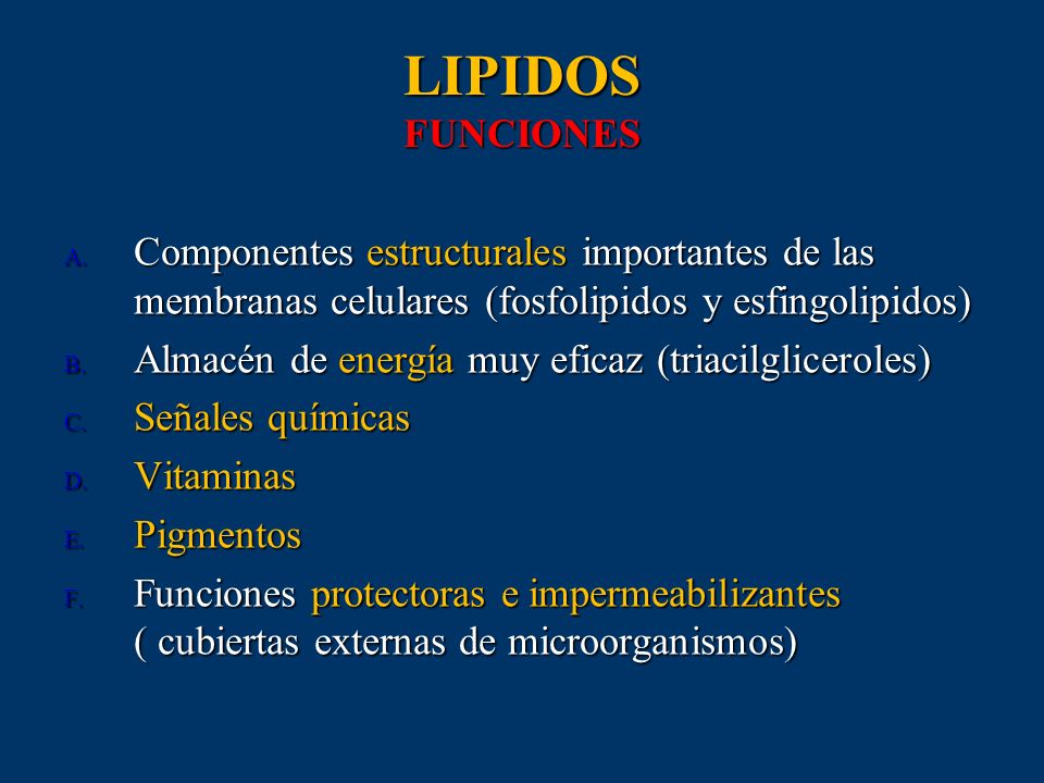 BIOMOLECULAS FUNCIONES biomoleculas funciones: