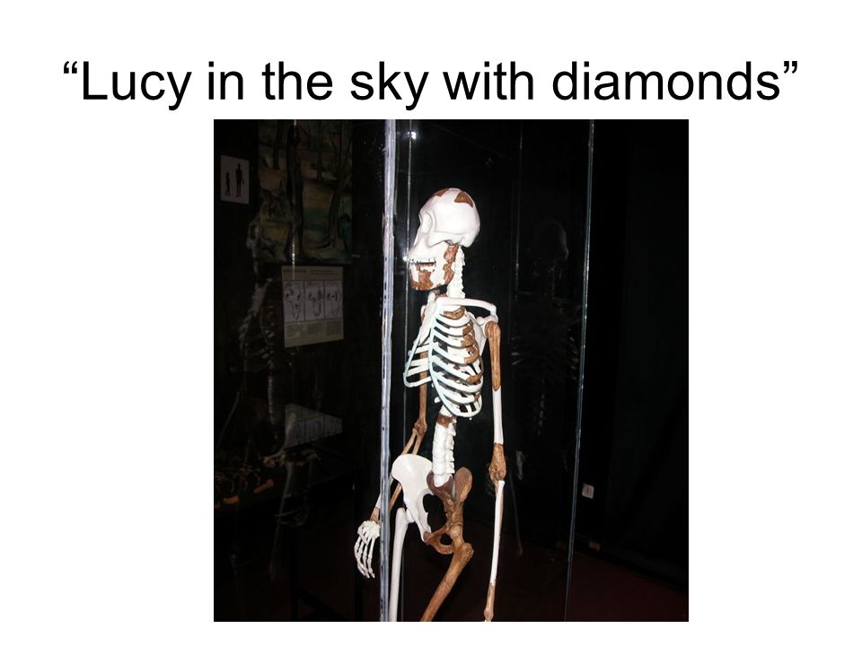 Lucy in the sky with diamonds