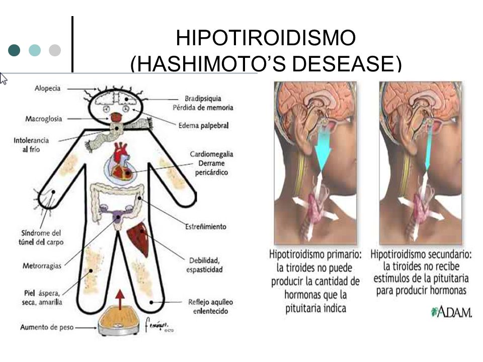 FARMACOLOGIA SISTEMA ENDOCRINO farmacologia sistema endocrino: