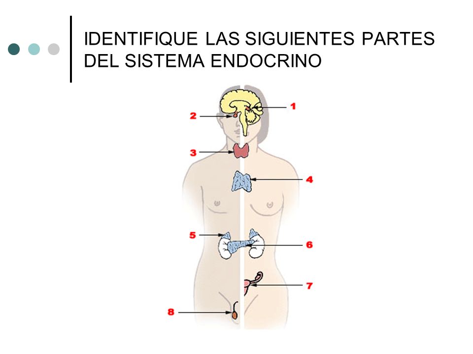 FARMACOLOGIA SISTEMA ENDOCRINO farmacologia sistema endocrino: