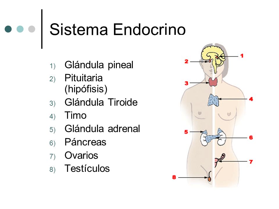 FARMACOLOGIA SISTEMA ENDOCRINO farmacologia sistema endocrino: