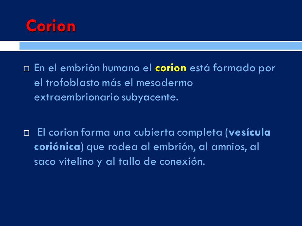 GRADO MADURACION PLACENTA EMBARAZO grado maduracion placenta embarazo: