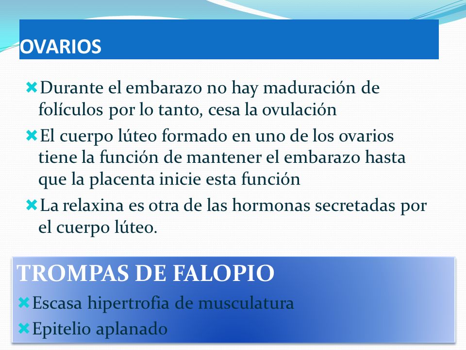 GRADO MADURACION PLACENTA EMBARAZO grado maduracion placenta embarazo: