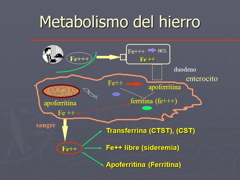 FERRITINA ferritina: