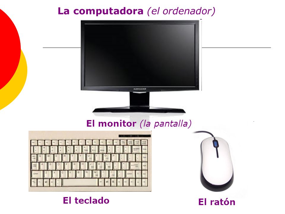 El monitor (la pantalla) El teclado El ratón La computadora (el ordenador)