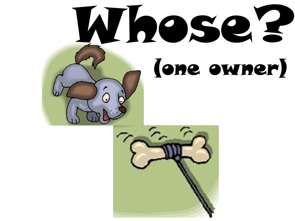(one owner) Whose