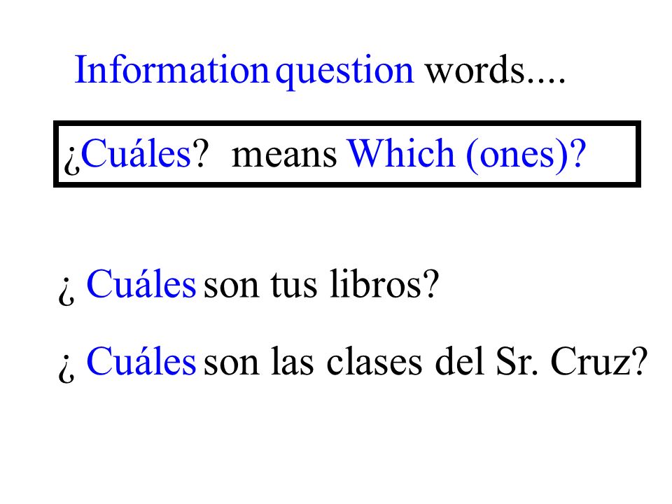 ¿ Cuáles son las clases del Sr. Cruz. Information question words....