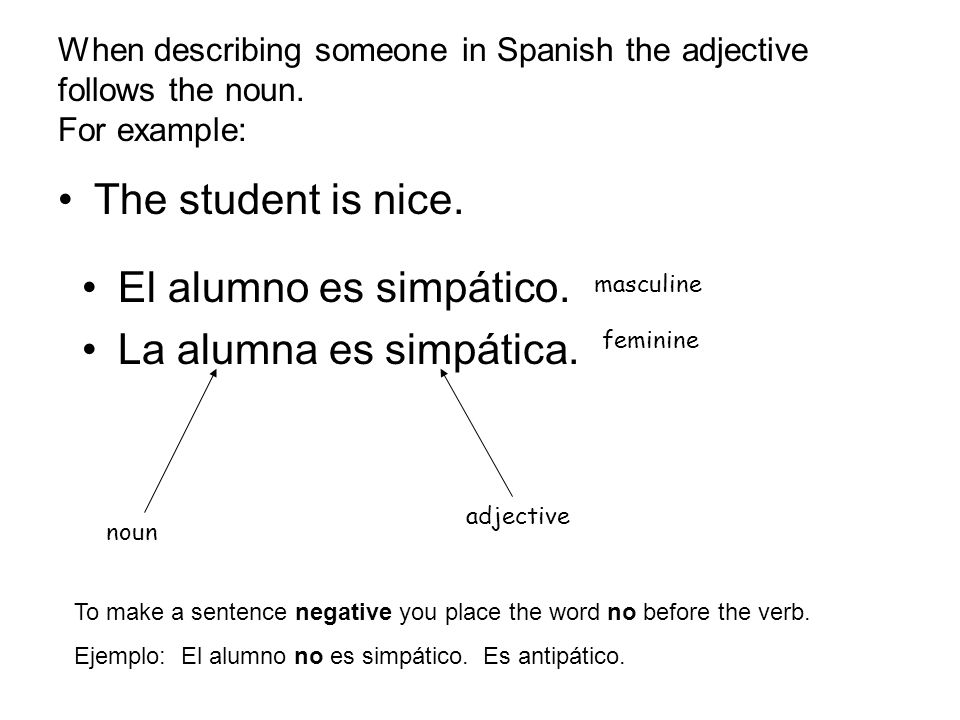 When describing someone in Spanish the adjective follows the noun.