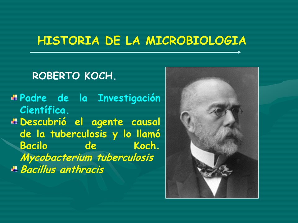 DESCUBRIO EL BACILO DE LA TUBERCULOSIS descubrio el bacilo de la tuberculosis: