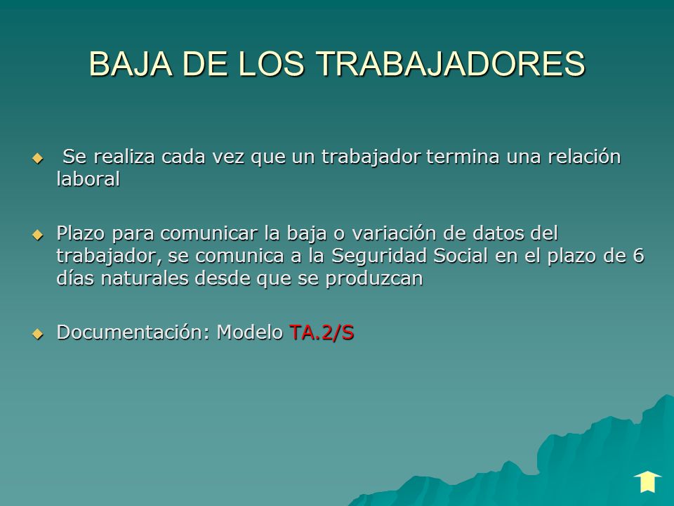 INSCRIPCION EMPRESA SEGURIDAD SOCIAL inscripcion empresa seguridad social: