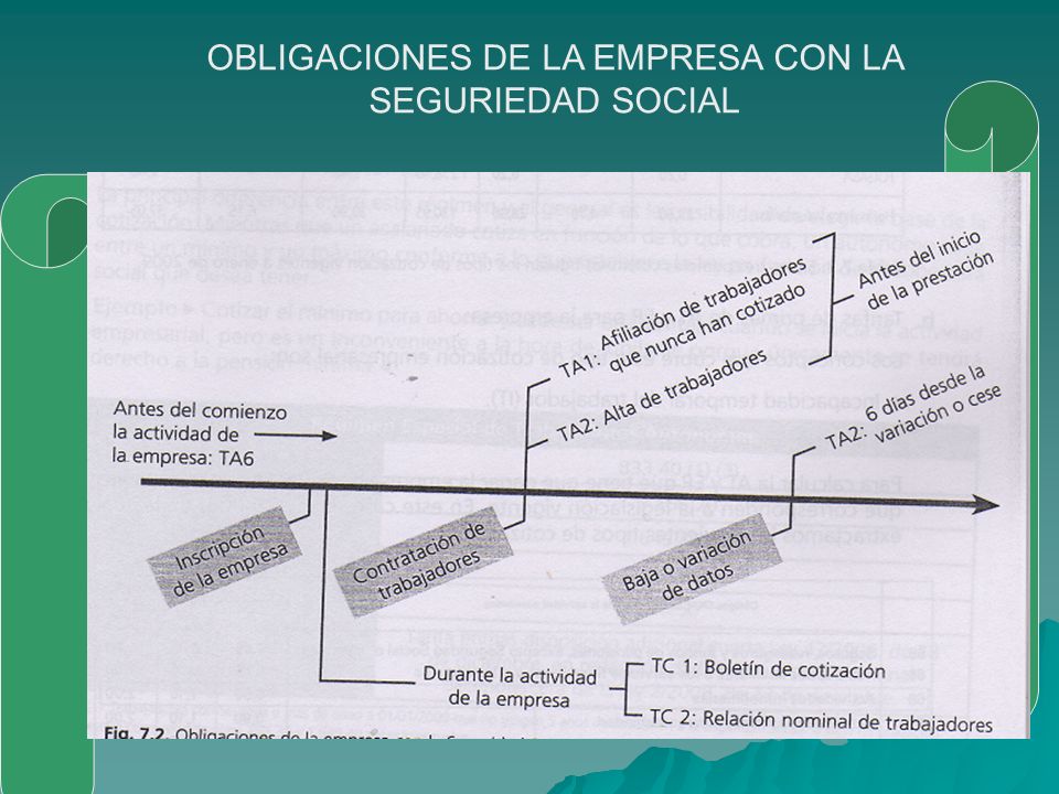 INSCRIPCION EMPRESA SEGURIDAD SOCIAL inscripcion empresa seguridad social: