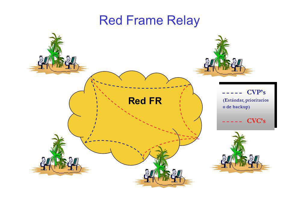 INTRODUCCION ESTANDAR RED introduccion estandar red: