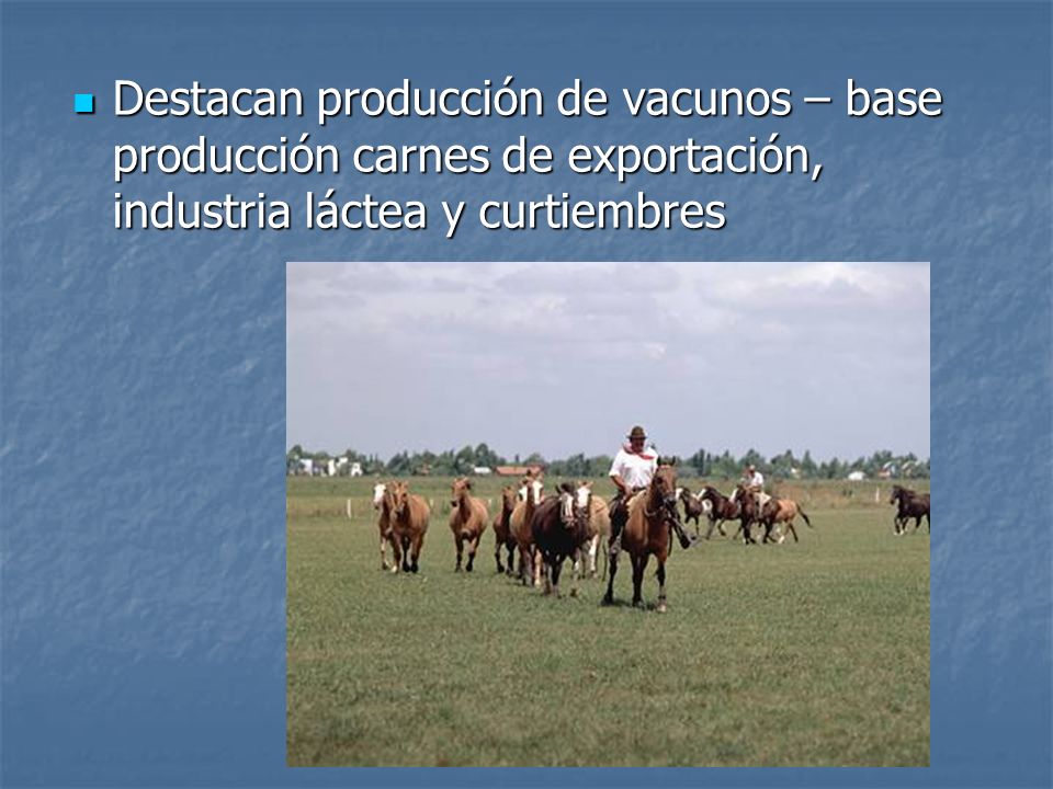 PRODUCCION VACUNOS produccion vacunos: