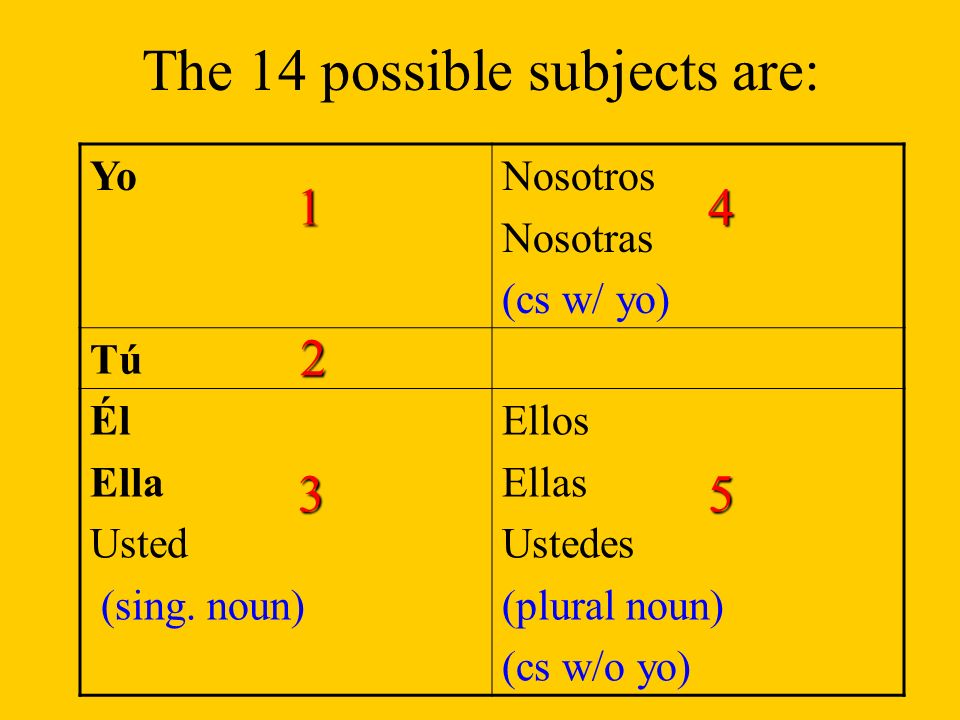 The 14 possible subjects are: YoNosotros Nosotras (cs w/ yo) TúTú Él Ella Usted (sing.