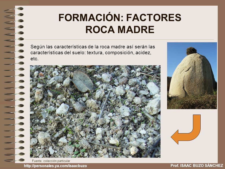 COMPOSICION ROCA MADRE composicion roca madre: