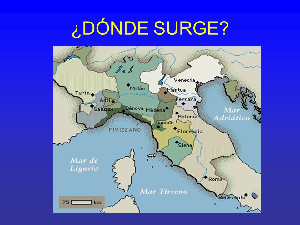 DONDE SURGE donde surge: