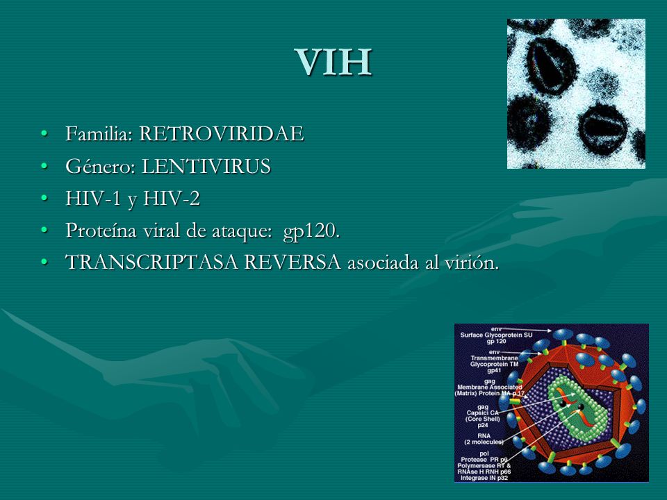 HISTORIA EDITH TRISTAN VIH SIDA historia edith tristan vih sida: