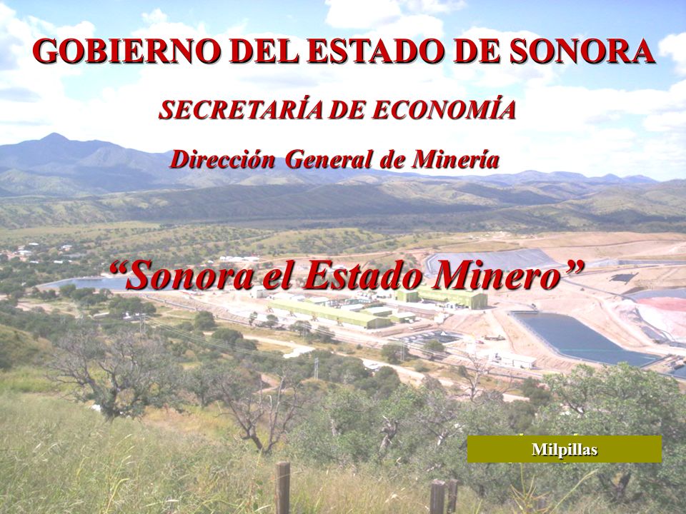 DIRECCION GENERAL DE ECONOMIA direccion general de economia: