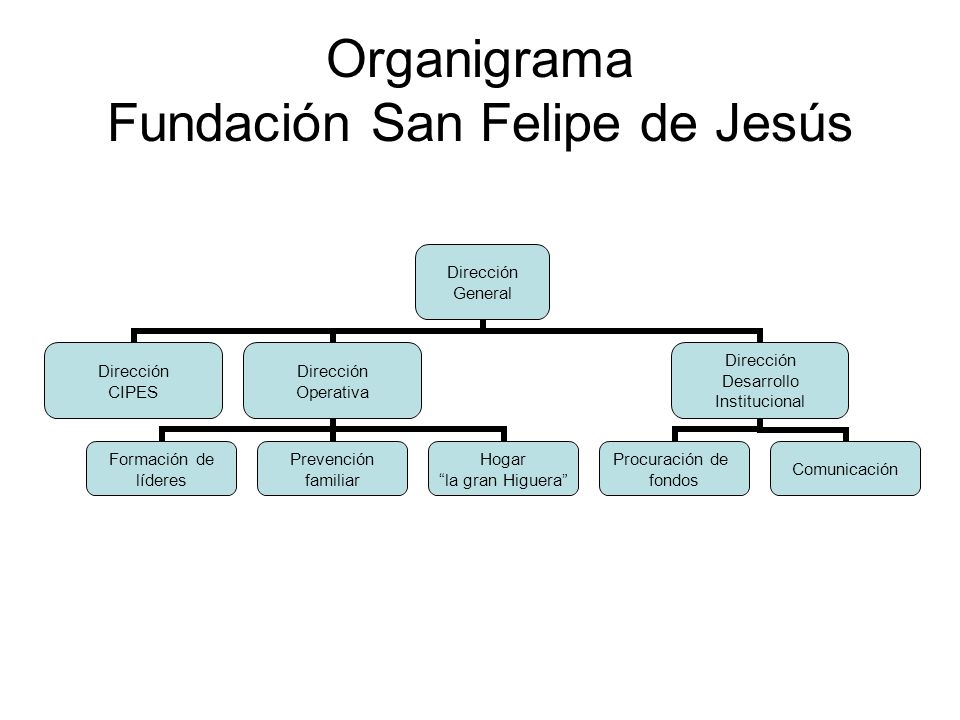 DIRECCION DE LA SOCIEDAD PROTECTORA DE ANIMALES direccion de la sociedad protectora de animales: