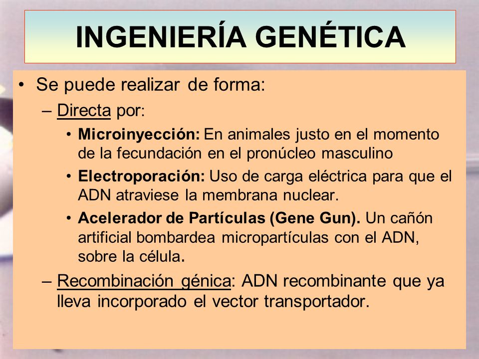 INGENIERIA GENETICA MOLECULAR ingenieria genetica molecular: