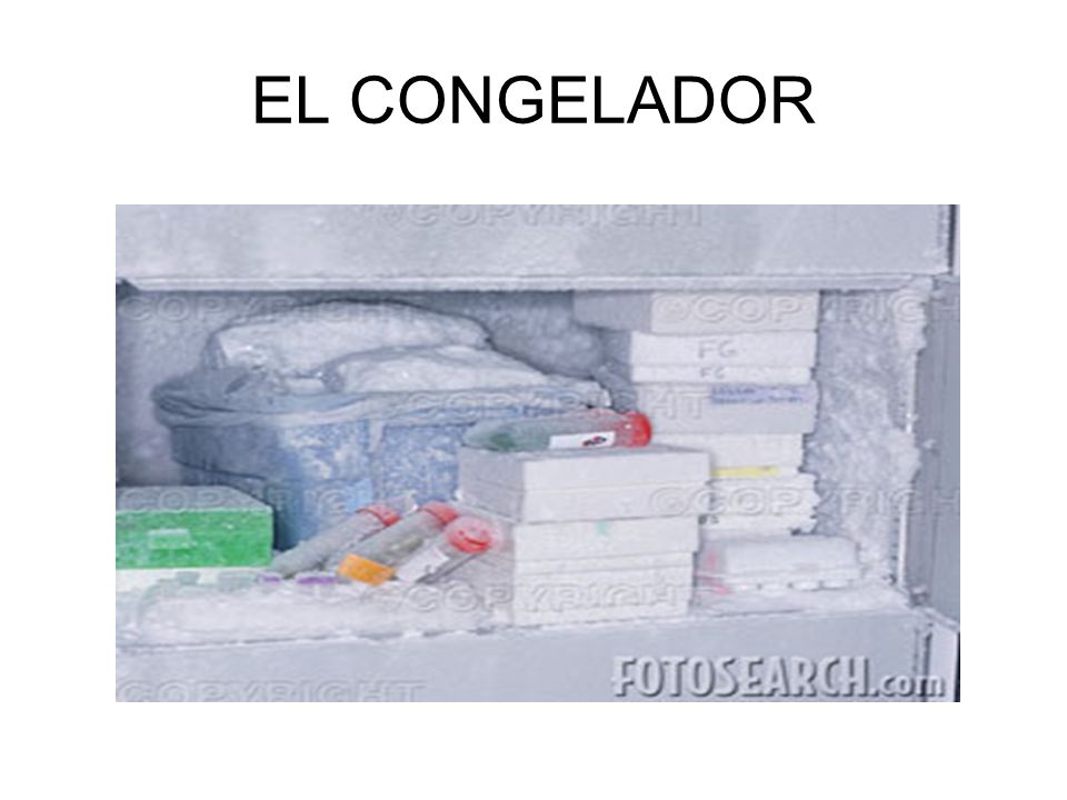 EL CONGELADOR