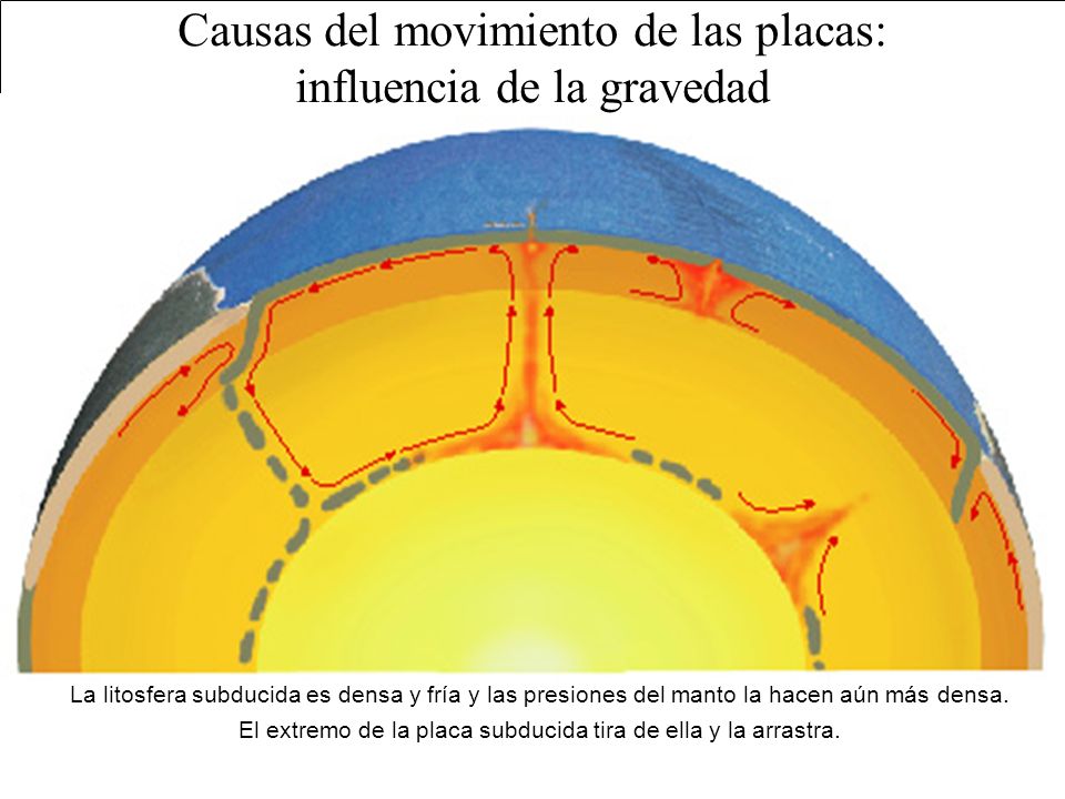 Causas del movimiento de las placas: las corrientes de convección