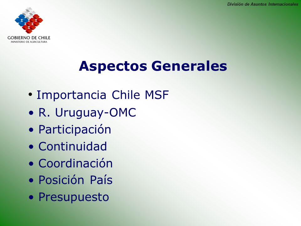División de Asuntos Internacionales Aspectos Generales Importancia Chile MSF R.