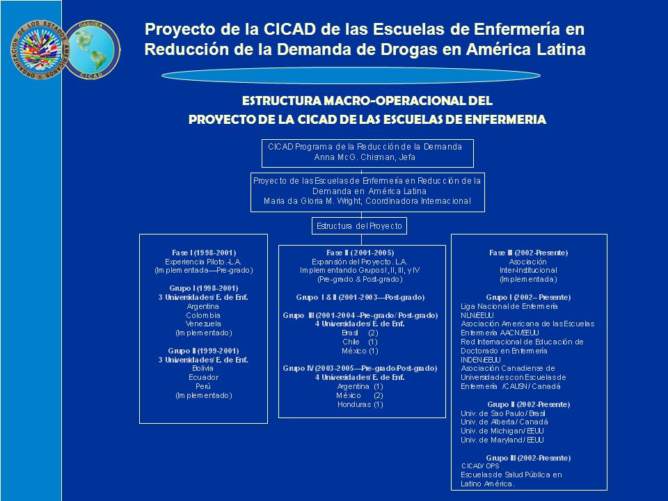 ESTRUCTURA MACRO-OPERACIONAL DEL PROYECTO DE LA CICAD DE LAS ESCUELAS DE ENFERMERIA Proyecto de la CICAD de las Escuelas de Enfermería en Reducción de la Demanda de Drogas en América Latina