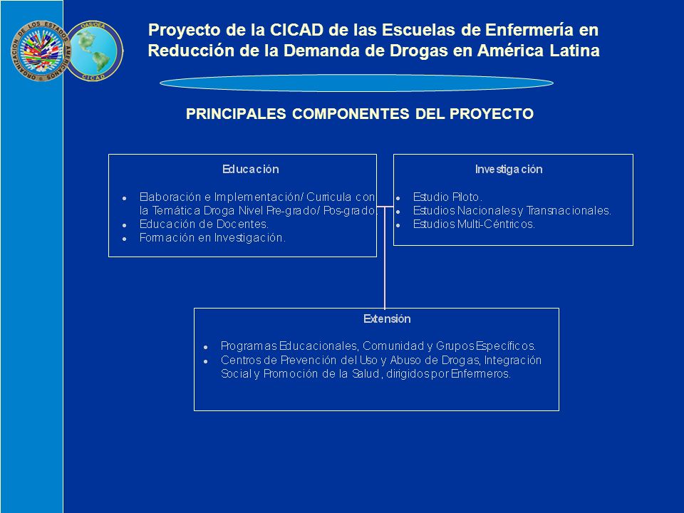 PRINCIPALES COMPONENTES DEL PROYECTO Proyecto de la CICAD de las Escuelas de Enfermería en Reducción de la Demanda de Drogas en América Latina