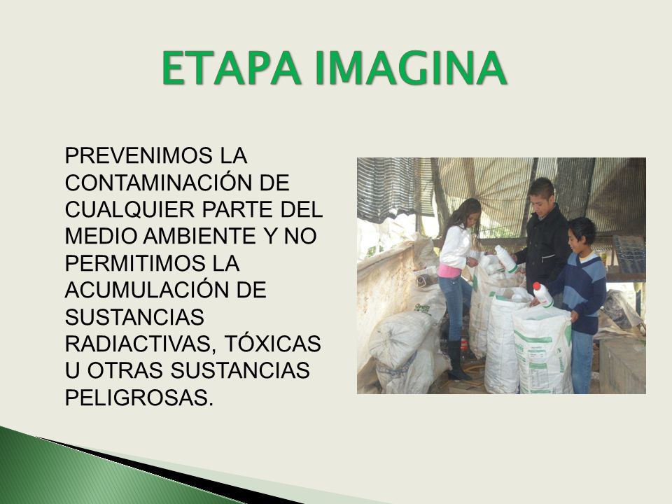FACTOR CONTAMINANTE factor contaminante: