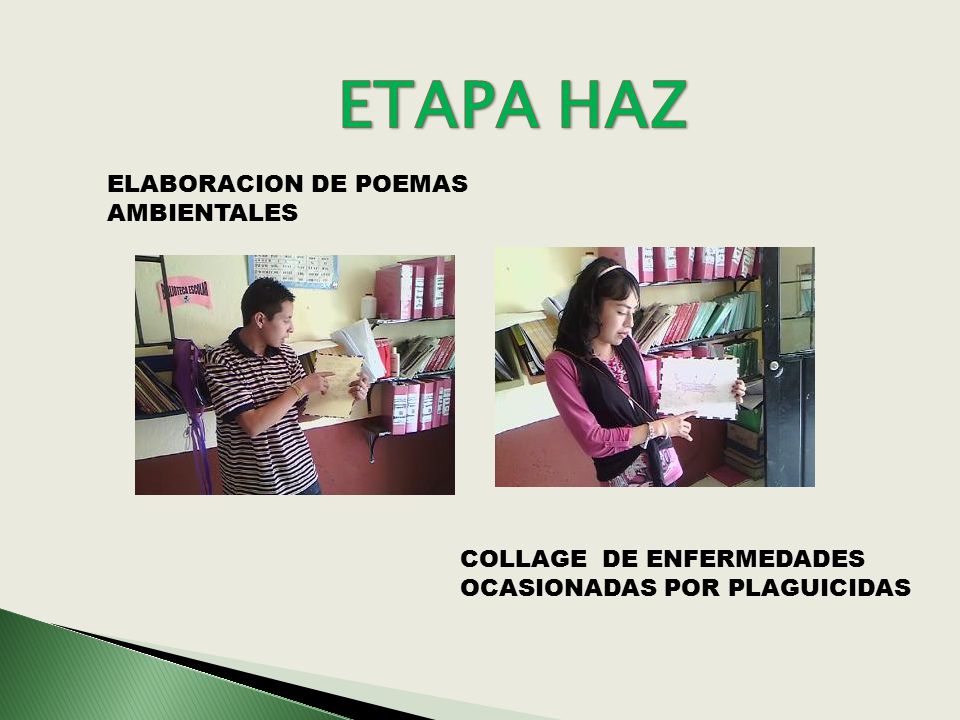 FACTOR CONTAMINANTE factor contaminante: