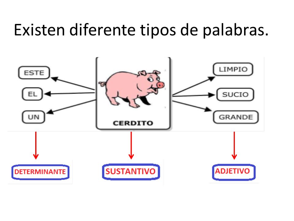 Resultado de imagen para palabras determinantes