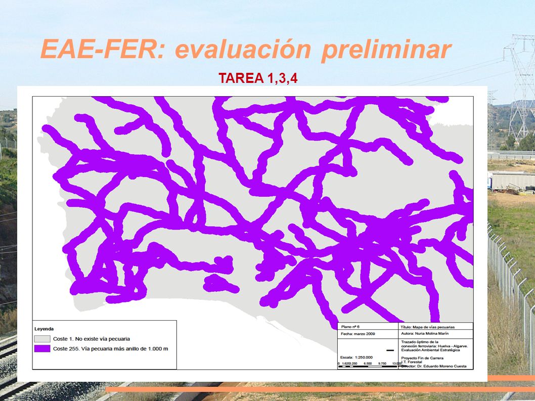 EAE-FER: evaluación preliminar TAREA 1,3,4