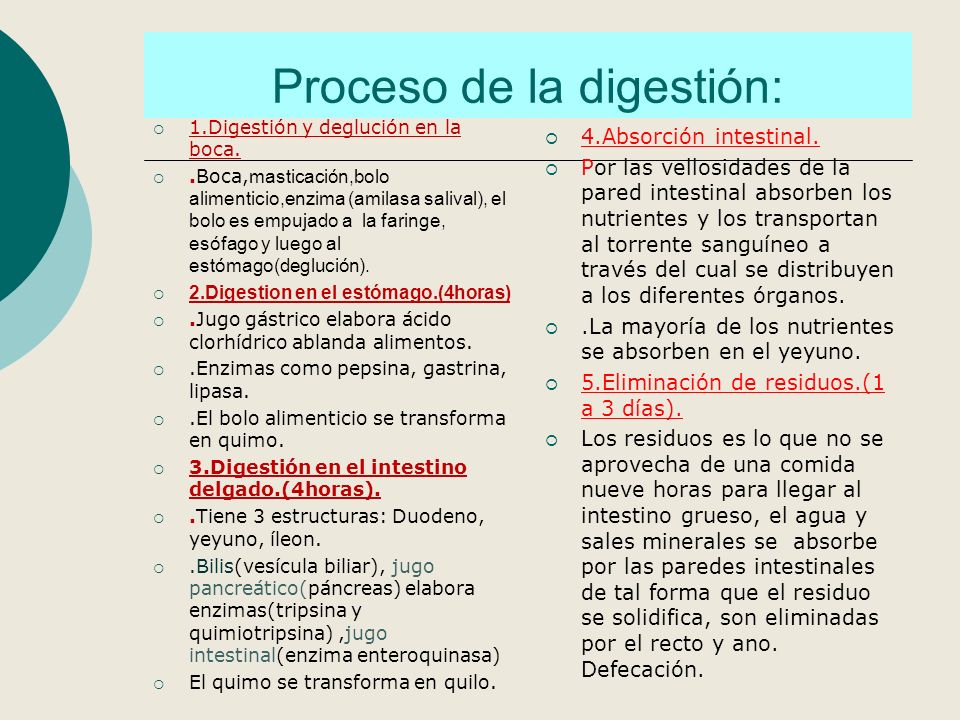 Resultado de imagen para proceso de digestión gastrointestinal