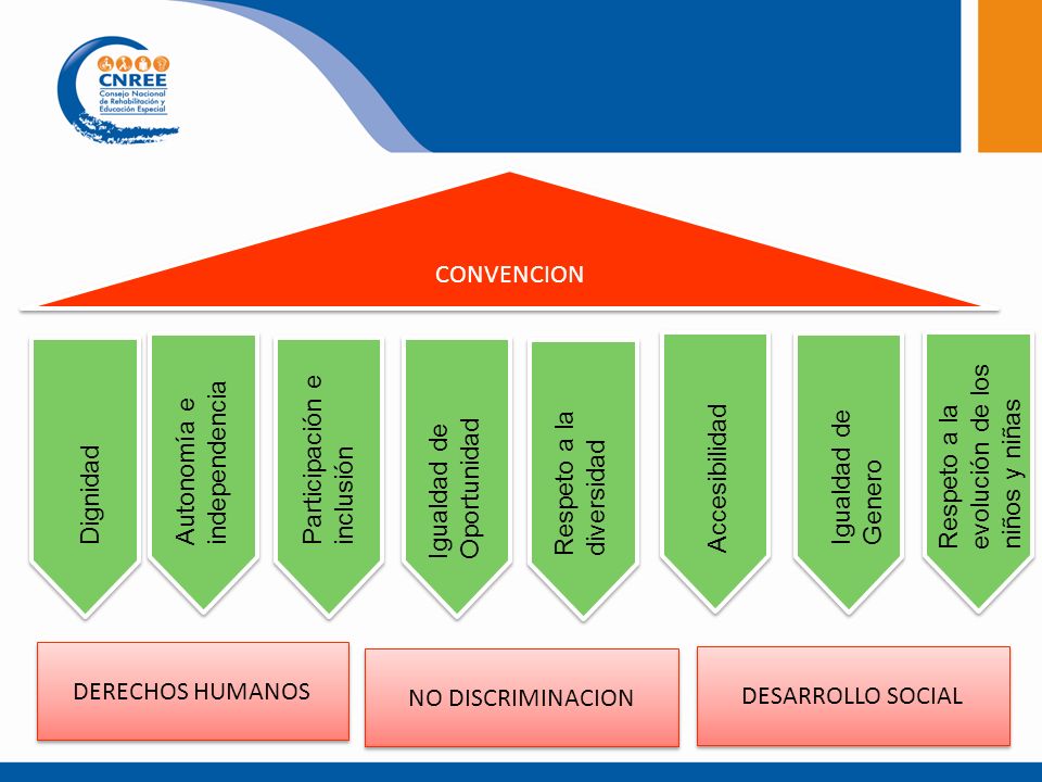 LEY IGUALDAD OPORTUNIDAD PERSONA DISCAPACIDAD ley igualdad oportunidad persona discapacidad: