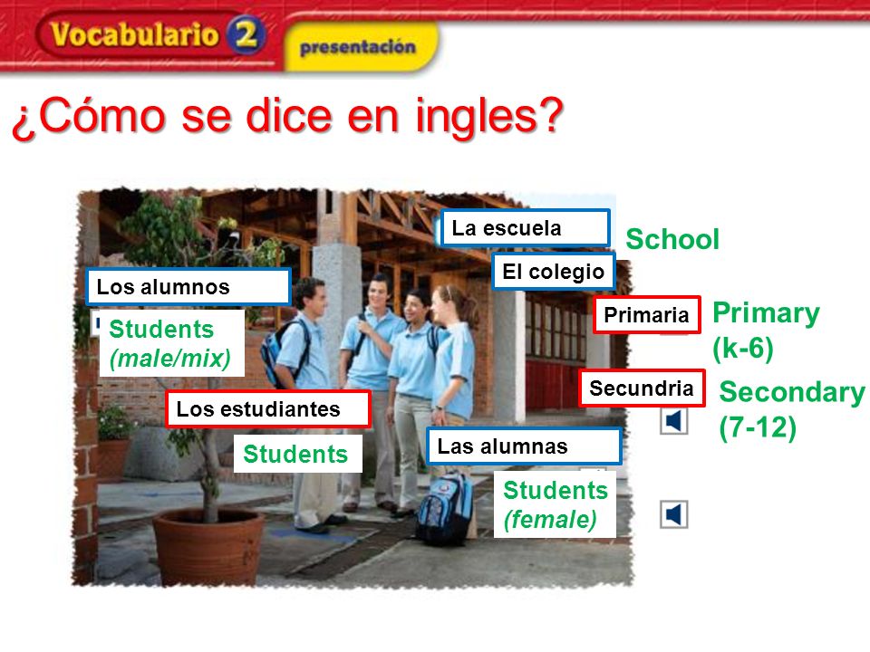 Primaria en ingles como se dice