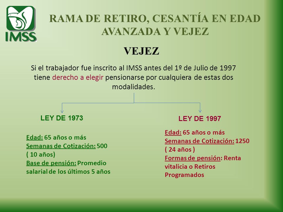 LEY SEGURO SOCIAL 1973 ley seguro social 1973: