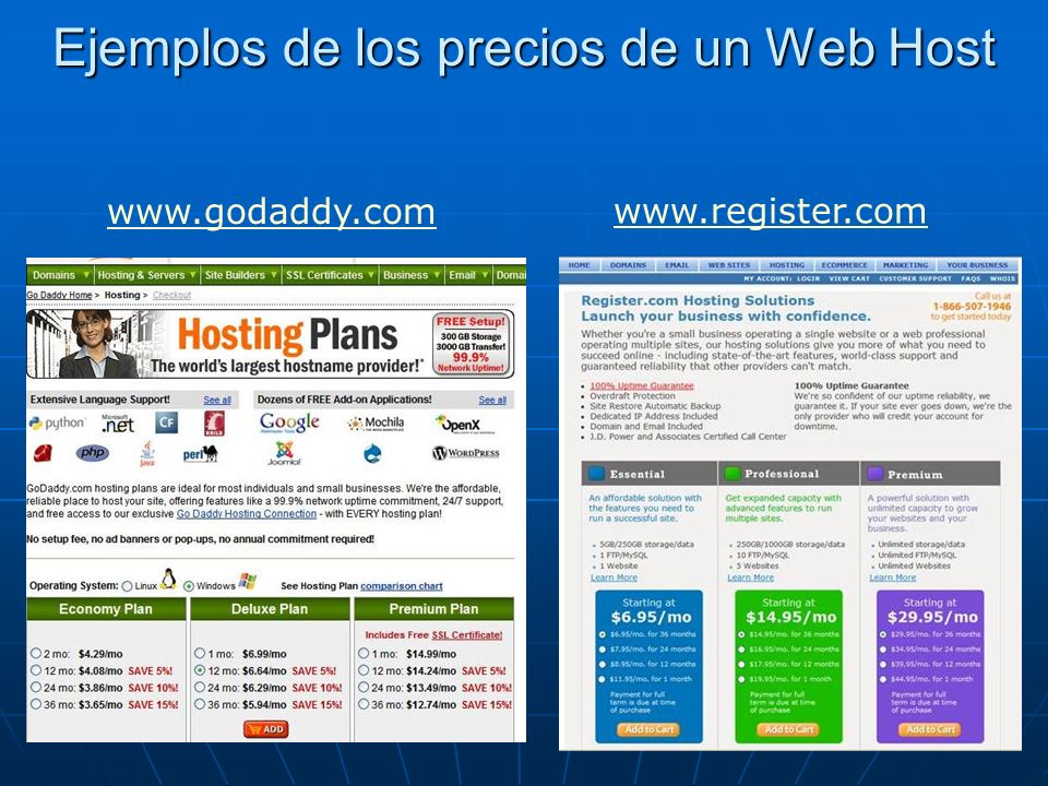 Ejemplos de los precios de un Web Host Ejemplos de los precios de un Web Host