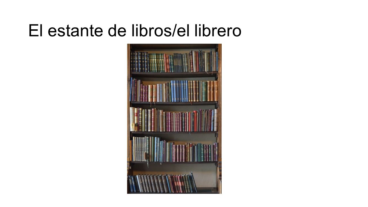 El estante de libros/el librero
