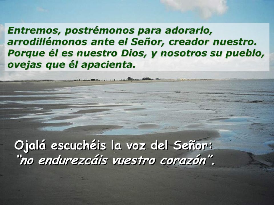 Resultado de imagen para Ojalá escuchéis hoy la voz del Señor: «No endurezcáis vuestro corazón»