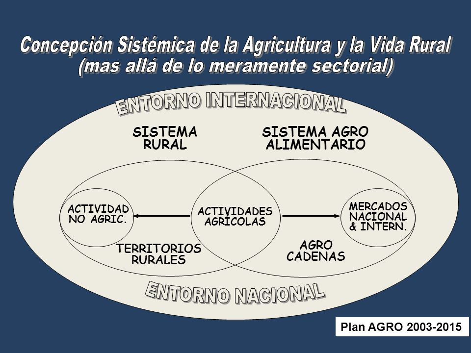 SISTEMA AGRO ALIMENTARIO ACTIVIDADES AGRÍCOLAS AGRO CADENAS MERCADOS NACIONAL & INTERN.