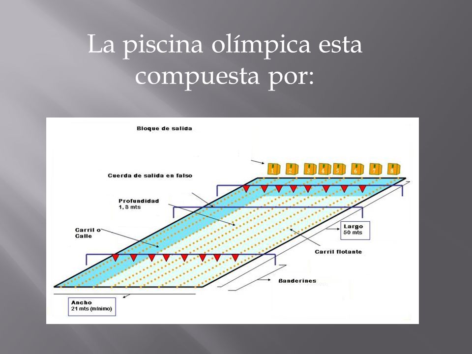 EL ANCHO DE UNA PISCINA OLIMPICA el ancho de una piscina olimpica: