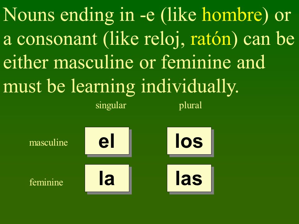 Nouns ending in -e (like hombre) or a consonant (like reloj, ratón) can be either masculine or feminine and must be learning individually.