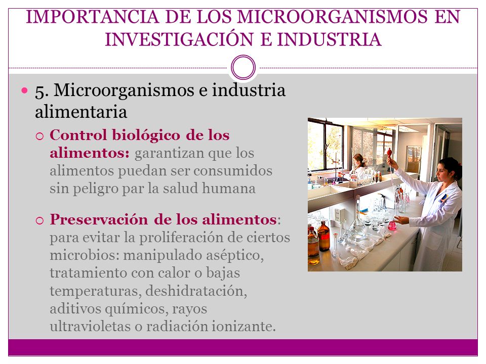 IMPORTANCIA TIENEN BACTERIA INDUSTRIA importancia tienen bacteria industria: