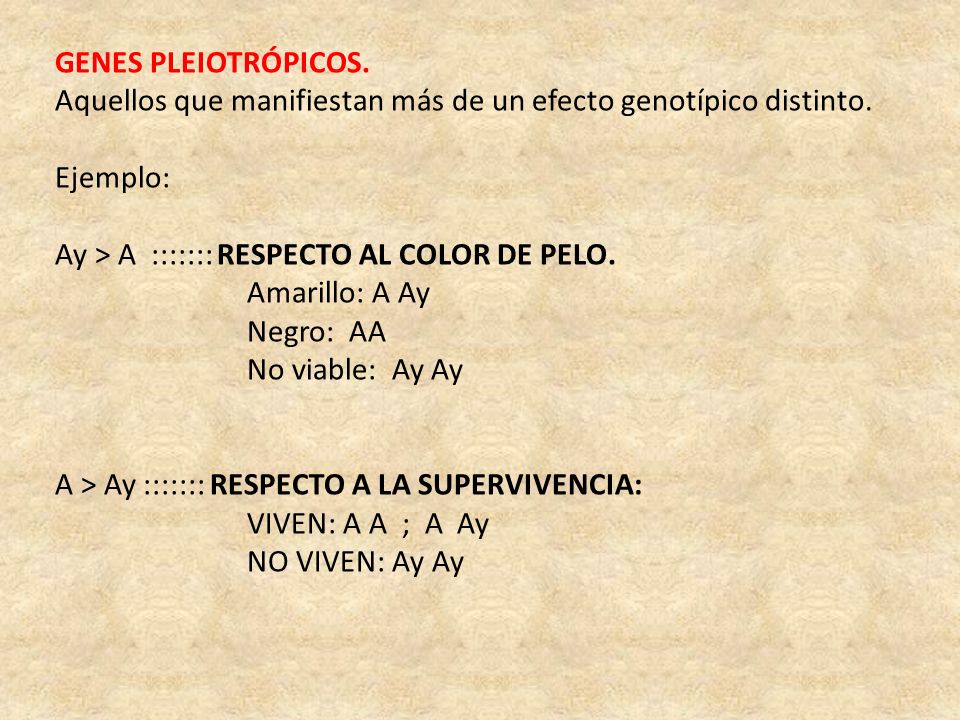 GENES PLEIOTROPICOS genes pleiotropicos: