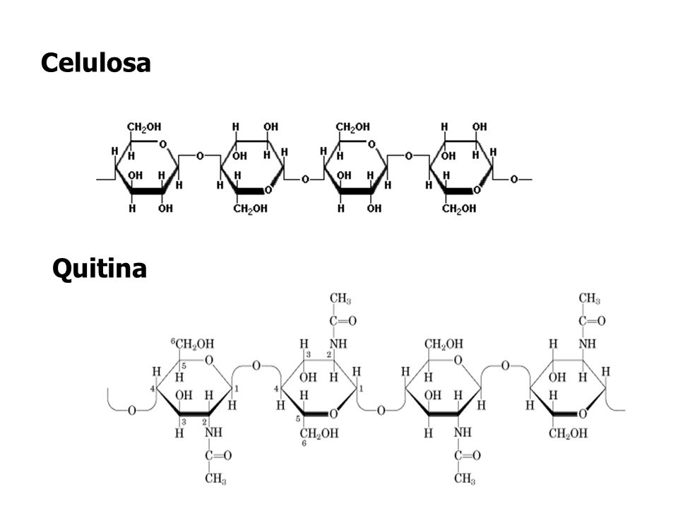 HIDRATOS DE CARBONO QUIMICA hidratos de carbono quimica:
